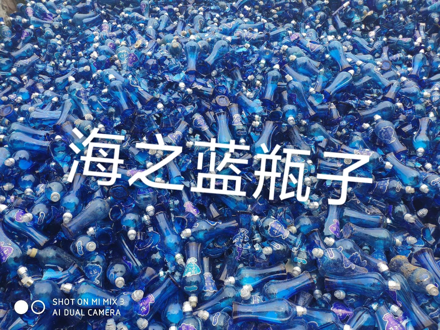 盐城海之蓝瓶回收